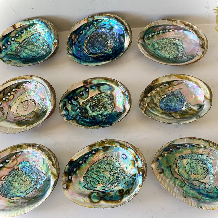 Abalone Shell Medium Smudge Bowl