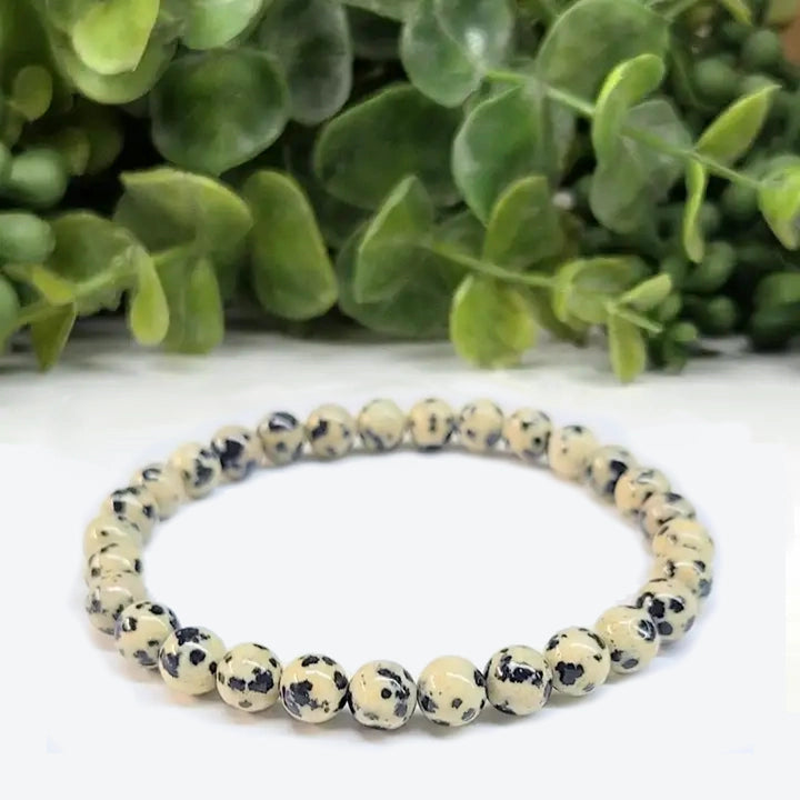 Dalmatian Jasper 6mm Bracelet