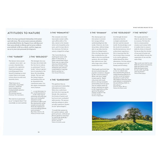 Healing Energies Of Trees - Texas Bookman