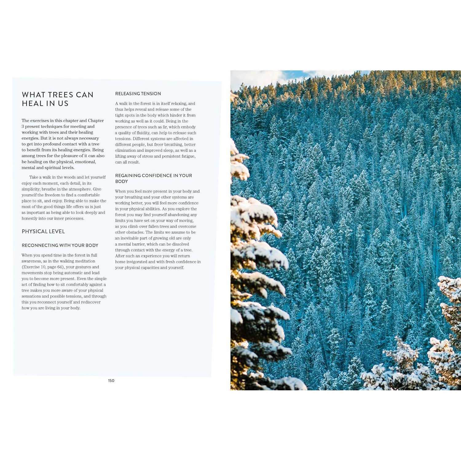 Healing Energies Of Trees - Texas Bookman