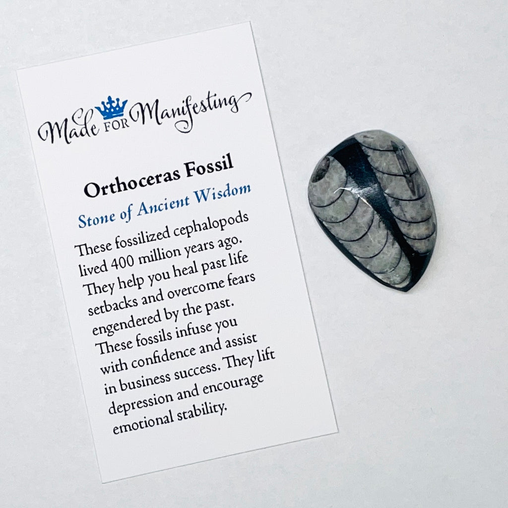 Orthoceras Fossil Tumbled Stone