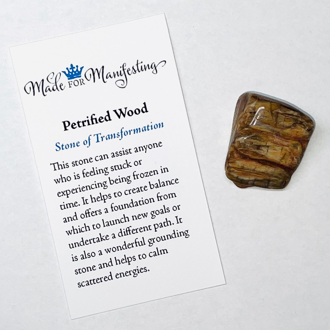 Petrified Wood Tumbled Stone