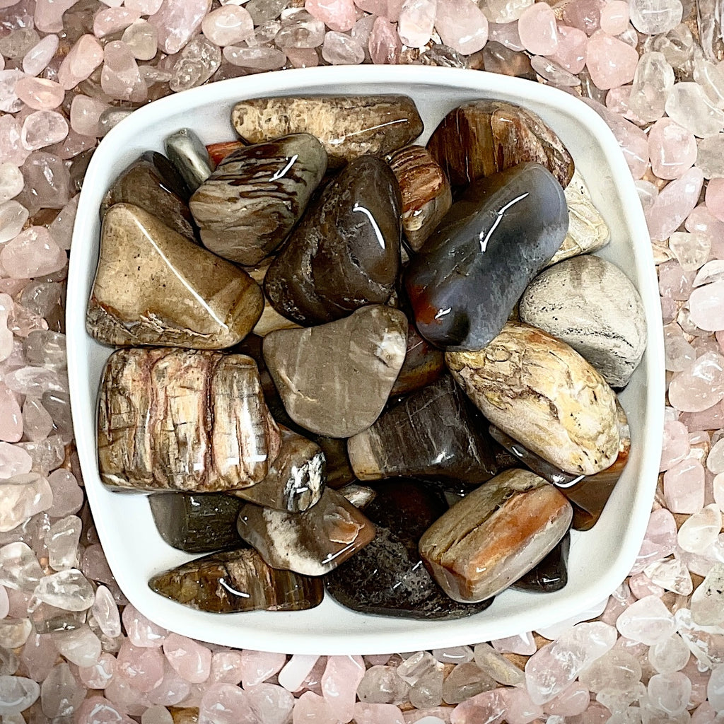 Petrified Wood Tumbled Stone