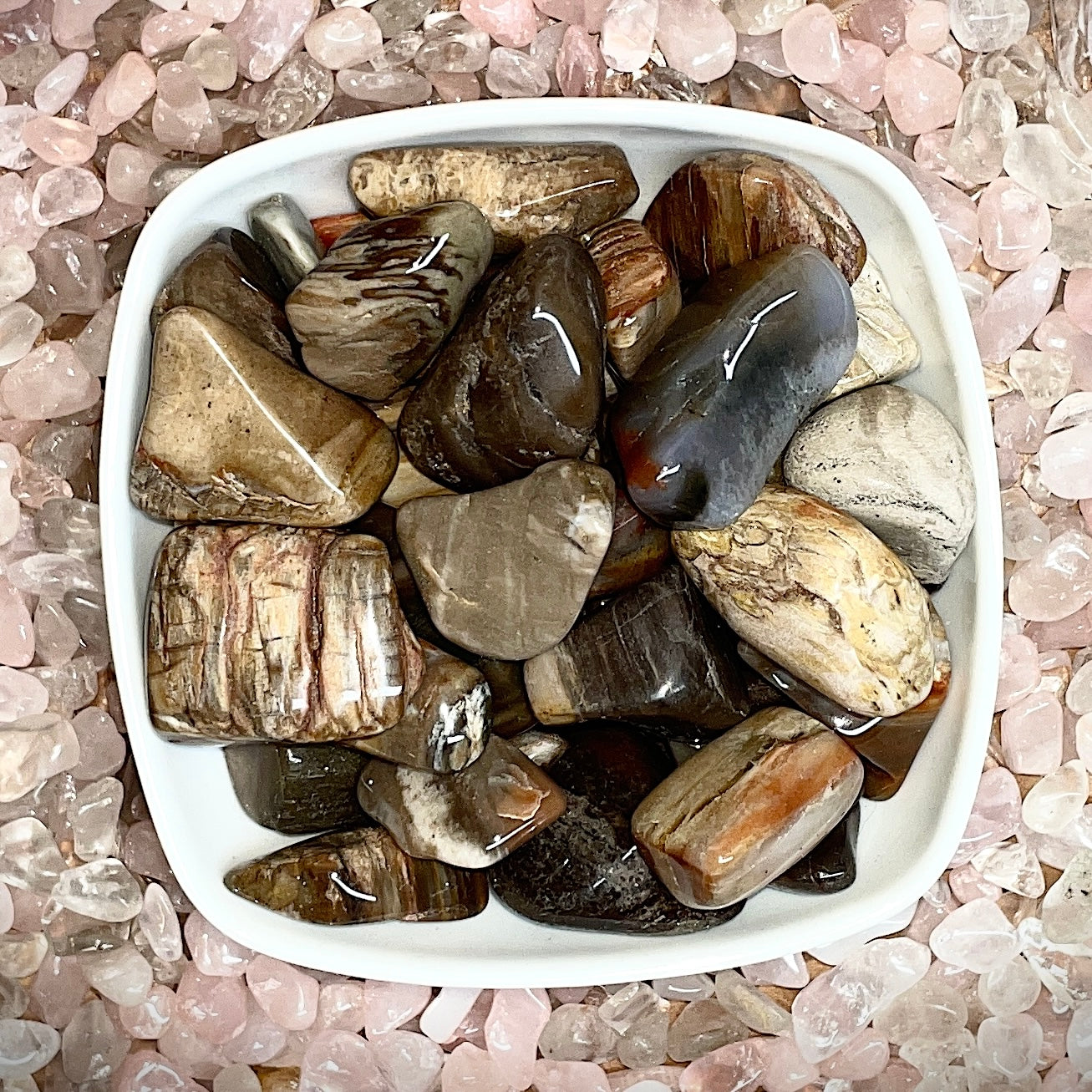 Petrified Wood Tumbled Stone