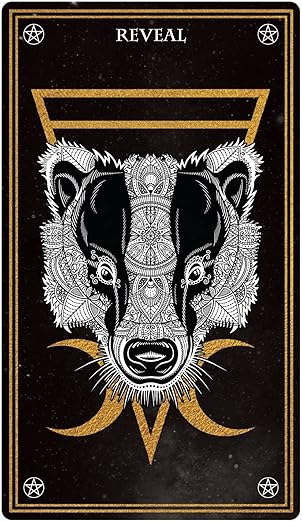 Wild Mystic Oracle Card Set