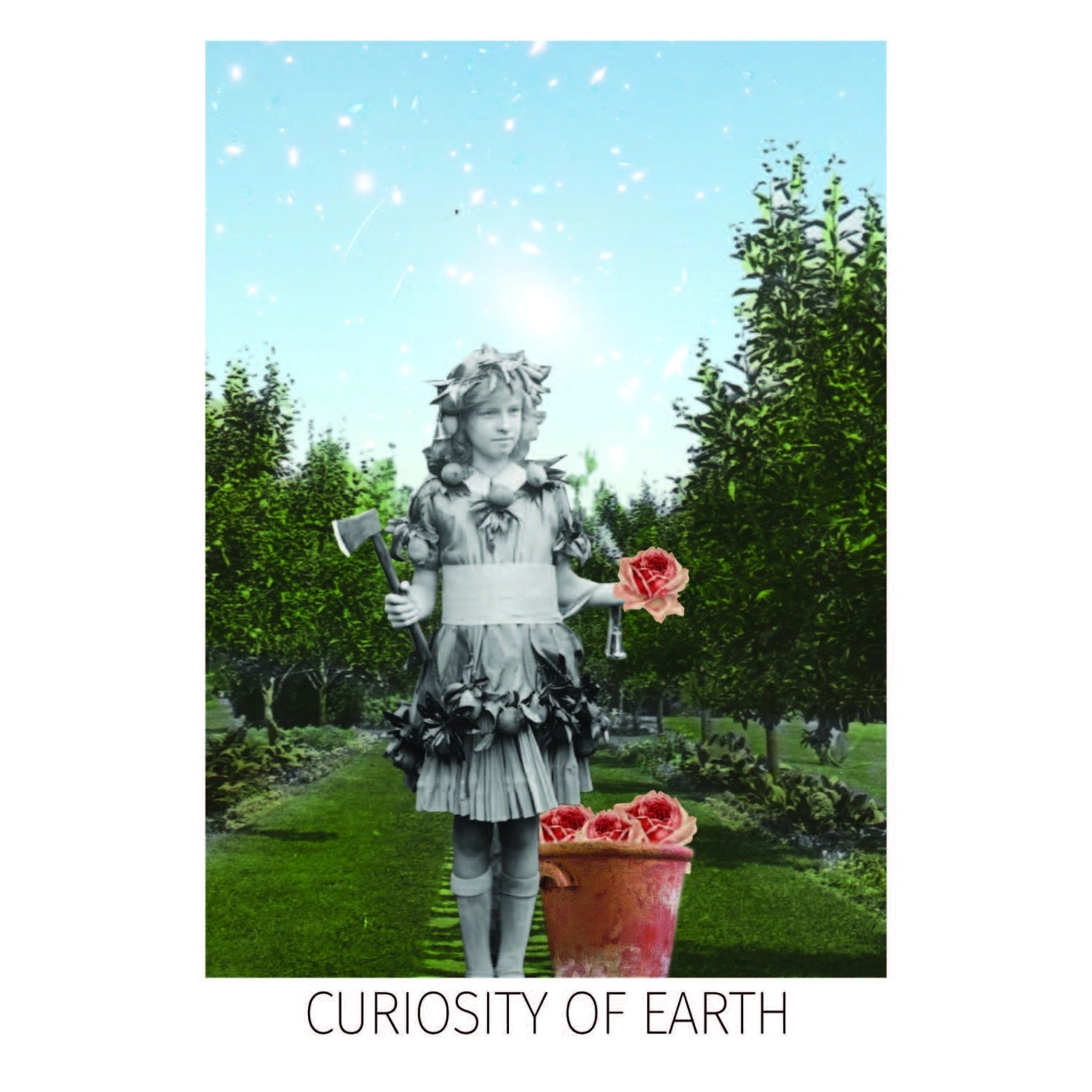 The Rosebud Tarot - Red Wheel/Weiser